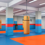 拳击/武术/跆拳道馆